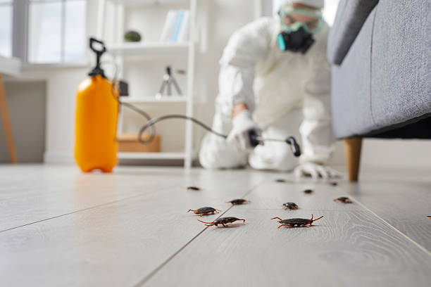 Commercial Kitchen Cockroach Control in Elkridge